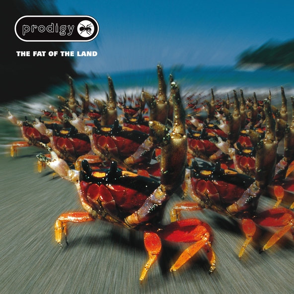 The Prodigy — Climbatize